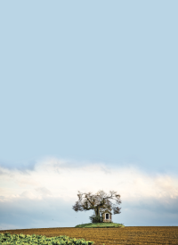 Wenskaart Magisch Hageland - Horst